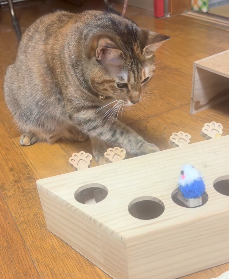 Instagram video 7